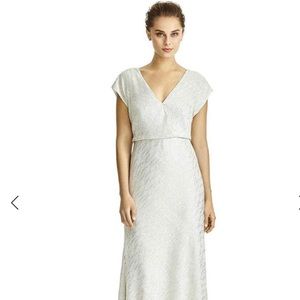 Jenny Yoo Bridesmaid dress from Dessy size 10